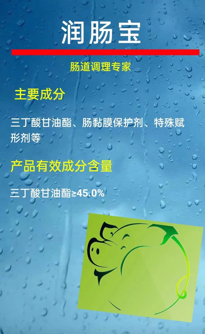 ��ϵ����